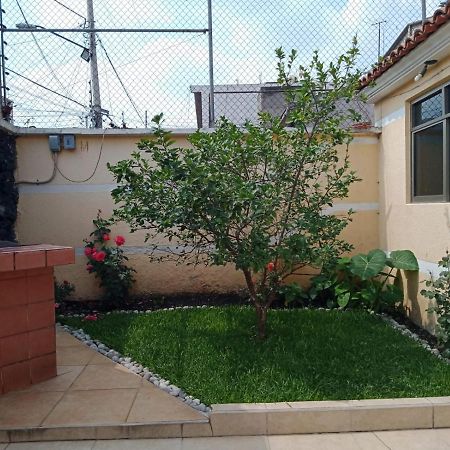 Hotel Ejido Xoco Meksyk Zewnętrze zdjęcie